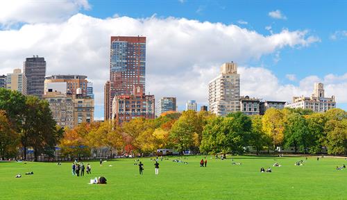 Panoramic photo shows a green lawn in Central Park, with park-goers, trees and the city skyline visible. 