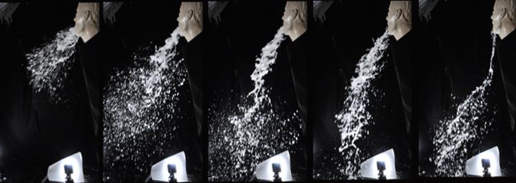 A sequence of images show Larry in action. A sequence of images show Larry in action.