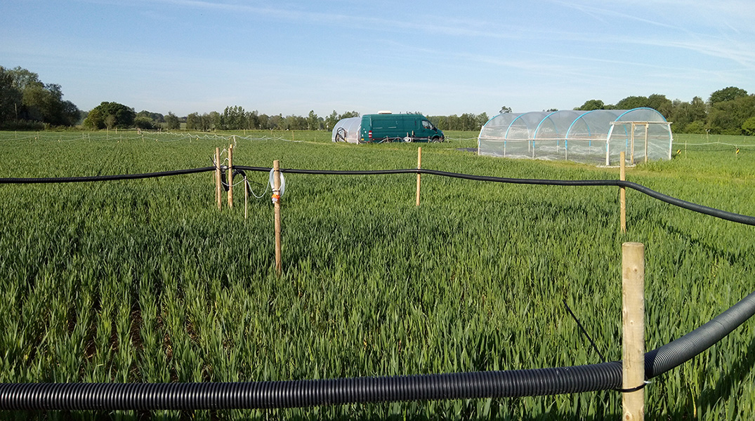 Photo shows experimental setup within a green field. There is a ring of black pipes raised above the ground attached to fence posts. Plants would be placed within this ring and pollutants released by the black ring of pipes. Farther in the background are polytunnels.