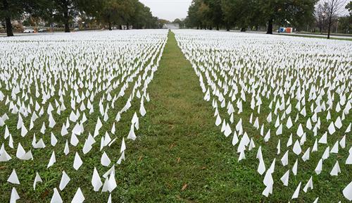 Photo of thousands of small white flags, each representing a death from Covid-19, stuck individually in the ground as part of artist Suzanne Brennan Firstenberg’s installation.