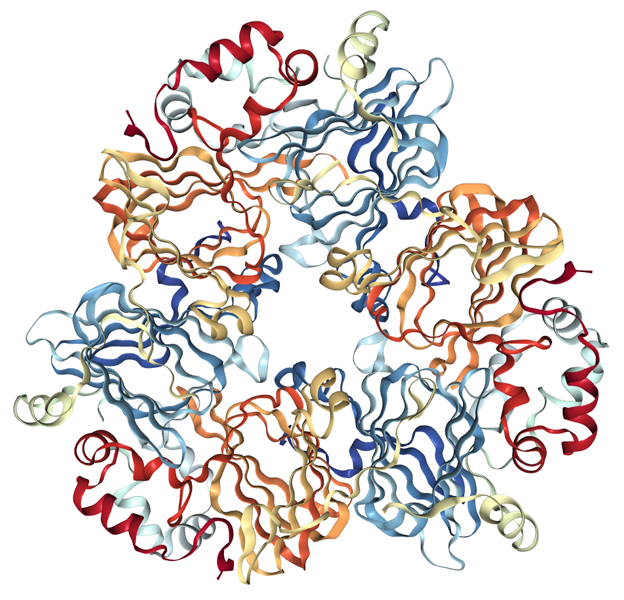 Structure of Ara h 1