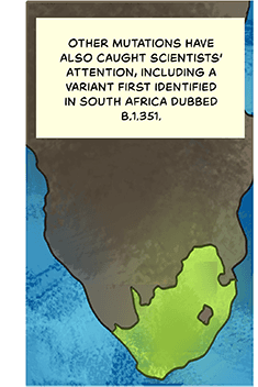 Illustration of South Africa on a map. Caption: Other mutations have also caught scientists’ attention, including a variant first identified in South Africa dubbed 501Y.V2. 