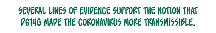 Text: Several lines of evidence support the notion that D614G made the coronavirus more transmissible. 